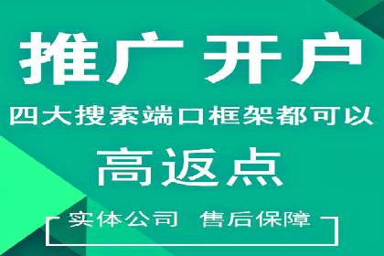 成功案例解析：百度推广代理商助力企业增长
